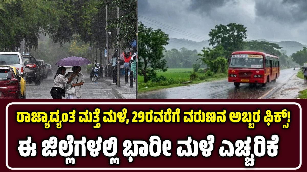 Rain Alert